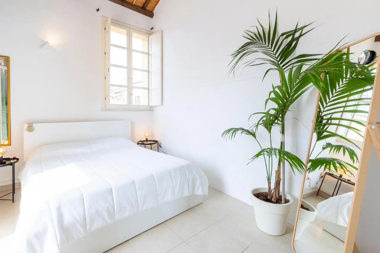 Penthouse With Terrace In Historic Centre location